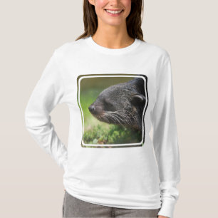 Binturong Beer Hoody