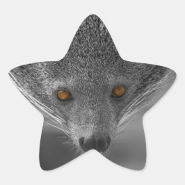 Binturong die naar je kijkt ster sticker