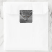 Binturong die naar je kijkt vierkante sticker (Tas)