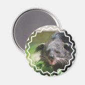Binturong Magnet (Voorkant / Achterkant)