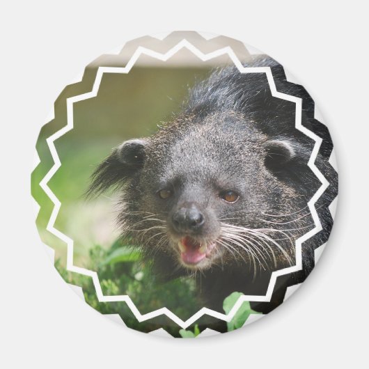 Binturong Magnet (Voorkant)
