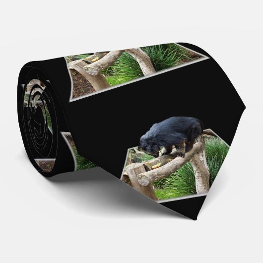 Binturong op een houten spoor, stropdas (Opgerold)