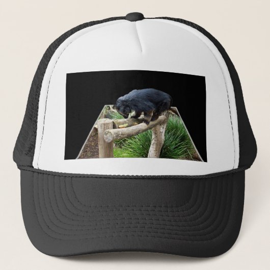 Binturong op een houten spoor, trucker pet (Voorkant)