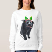 Binturong vakantie sweatshirt (Voorkant)
