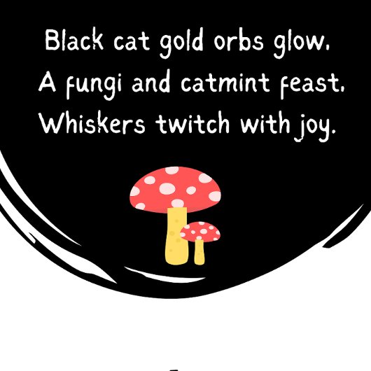 BINX & FUN GUY kat en kabouter shirten Trui