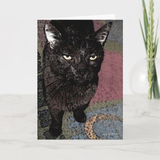 Binx II Wenskaart Kaart (Voorkant)