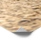 Biokovo-bergen - Kroatië Poster (Hoek)