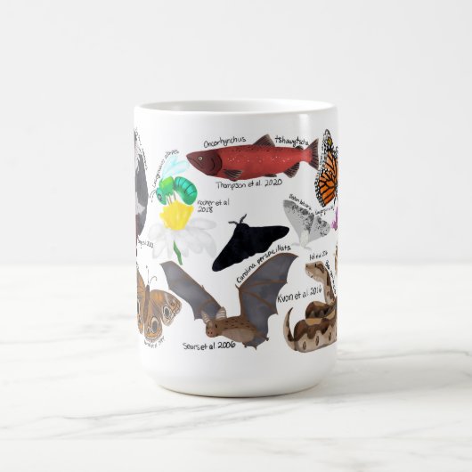 BIOL459 Model Organism Mok (Center)