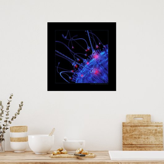 Biologie: aantrekkingskracht poster (Keuken)