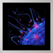 Biologie: aantrekkingskracht poster (Voorkant)