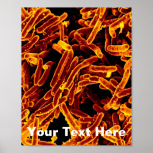 biologie abstract poster canvas