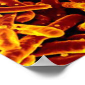 biologie abstract poster canvas (Hoek)