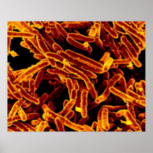 biologie abstract poster canvas