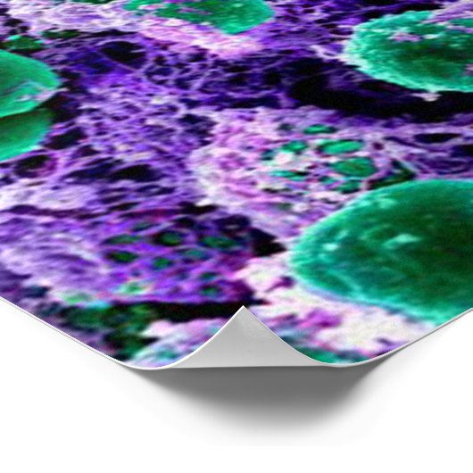 biologie abstract poster canvas (Hoek)