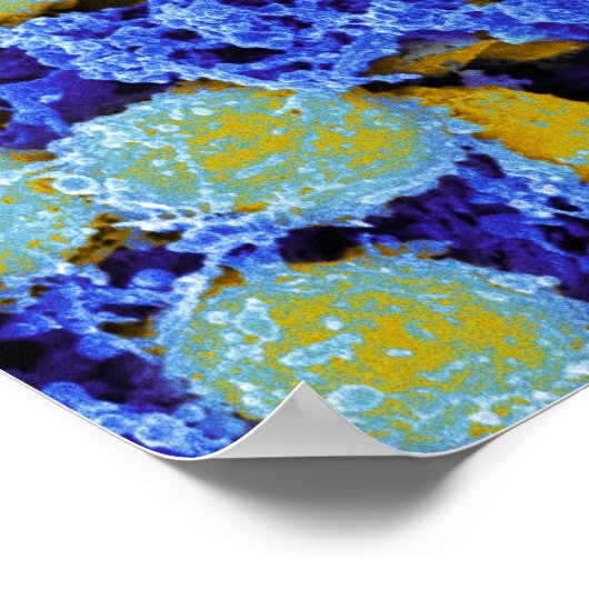 biologie, abstract poster of canvas (Hoek)