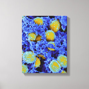 biologie, abstract poster of canvas afdruk