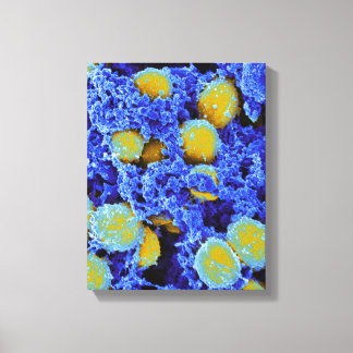 biologie, abstract poster of canvas afdruk