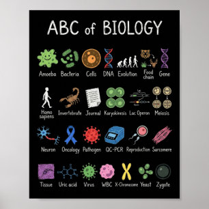 Biologie Alfabet Wetenschap Onderwijs Leraar Stude Poster