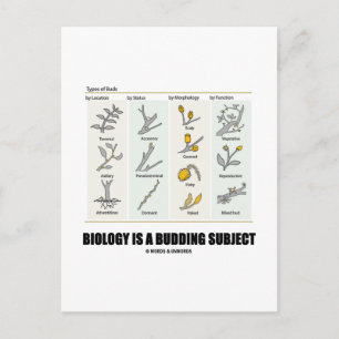 Biologie is een ontluikend onderwerp (soorten knop briefkaart