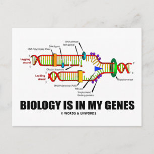 Biologie is in mijn genen (DNA-replicatie) Briefkaart