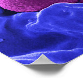 biologie microbiologie abstracte kunstbacterie poster (Hoek)