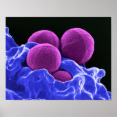 biologie microbiologie abstracte kunstbacterie poster (Voorkant)