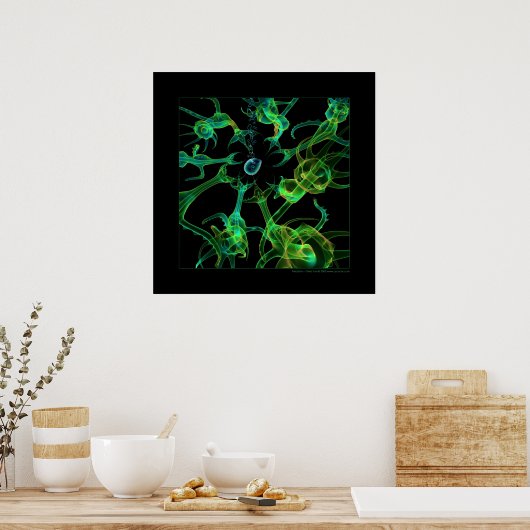 Biologie: predatie poster (Keuken)