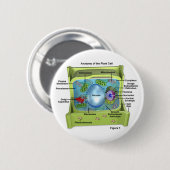 Biologie Ronde Button 5,7 Cm (Voorkant /achterkant)