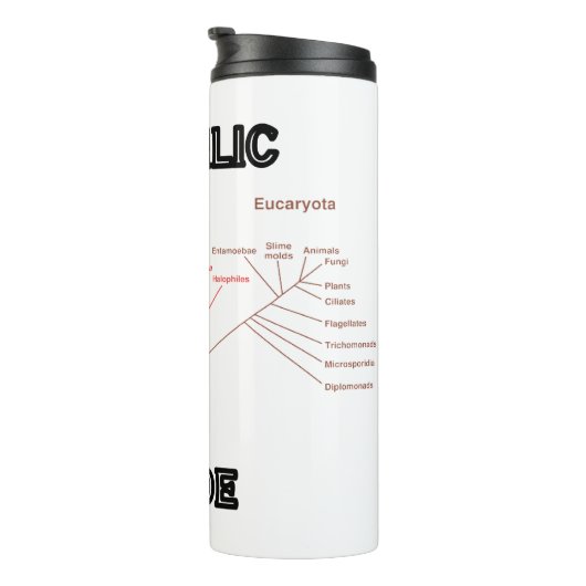 Biologie van biologie met biofilie in de fylogenet thermosbeker (Geroteerd rechts)