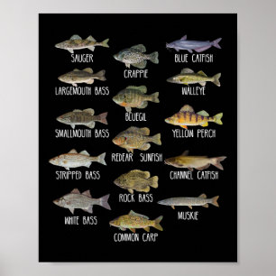 Biologie van zoetwatervissoorten Vist Poster