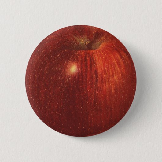 Biologisch Rode Delicious Appel, Oud Fruit Ronde Button 5,7 Cm (Voorkant)