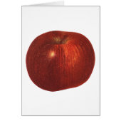 Biologisch Rode Delicious Appel, oud voedsel fruit (Voorkant)