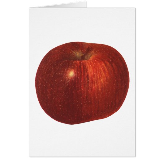 Biologisch Rode Delicious Appel, oud voedsel fruit (Voorkant)