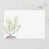 Biologische biet | Informatiekaart in waterverf Informatiekaartje (Achterkant)