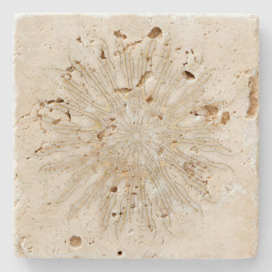 Biologische boho stijl sunburst mandala gouden wit stenen onderzetter