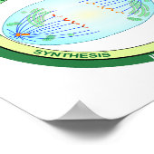 Biologische fasen van de celcyclus en de Mitose gr Poster (Hoek)