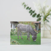 Biologische grasmaaier op vier uur briefkaart (Staand voorkant)