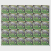 Biologische grasmaaier op vier uur cadeaupapier (Vlak)