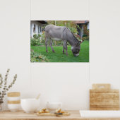 Biologische grasmaaier op vier uur poster (Keuken)