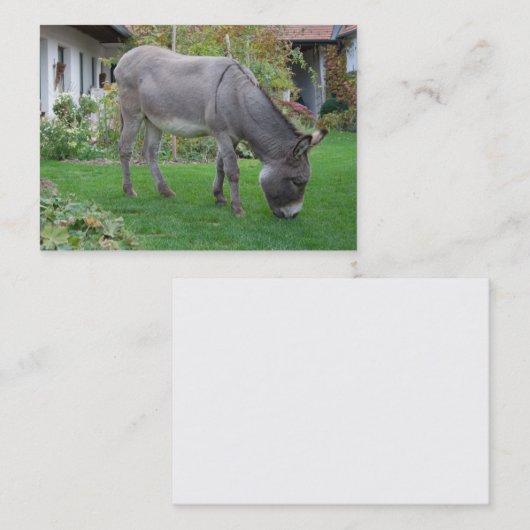 Biologische grasmaaier op vier uur visitekaartje (Voorkant / Achterkant)