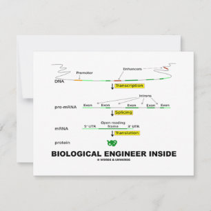 Biologische ingenieur Inside