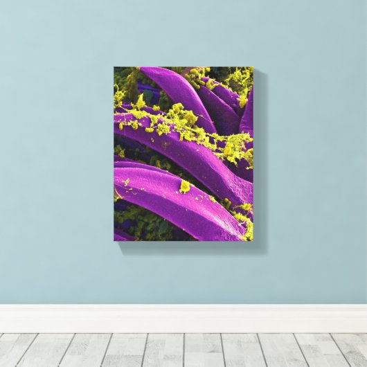 Biologische microbiologie, abstract voor poster of canvas afdruk (Insitu (Houten vloer))