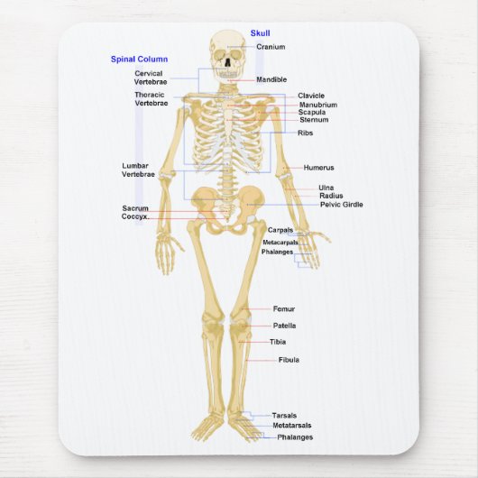 Biologische Muismat (Voorkant)