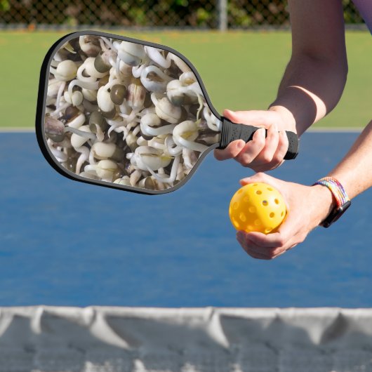 Biologische Mung Sprouts – een voedingsstof verpak Pickleball Paddle (Insitu)