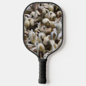 Biologische Mung Sprouts – een voedingsstof verpak Pickleball Paddle (Achterkant)