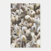 Biologische Mung Sprouts – een voedingsstof verpak Post-it® Notes (Voorkant)