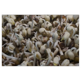 Biologische Mung Sprouts – een voedingsstof verpak Stof