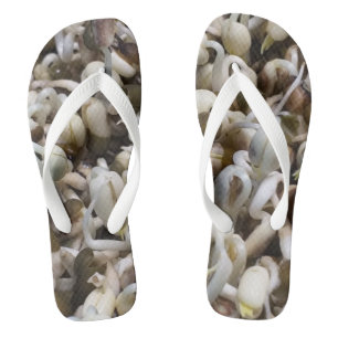 Biologische Mung Sprouts – een voedingsstof verpak Teenslippers