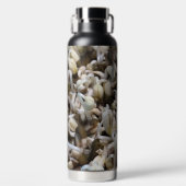 Biologische Mung Sprouts – een voedingsstof verpak Waterfles (Voorkant)