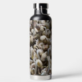 Biologische Mung Sprouts – een voedingsstof verpak Waterfles (Links)